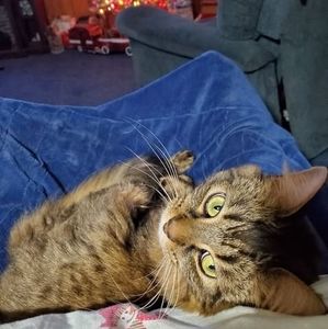 Meet your Posher, Connie